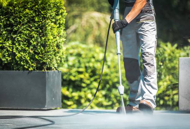 Best Gutter Cleaning  in Lenox, IA